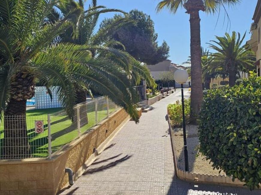 Španělsko Apartmány / byty Torrevieja