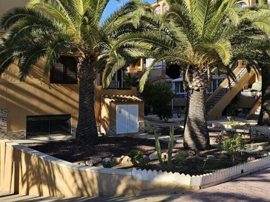 Španělsko Apartmány / byty Torrevieja