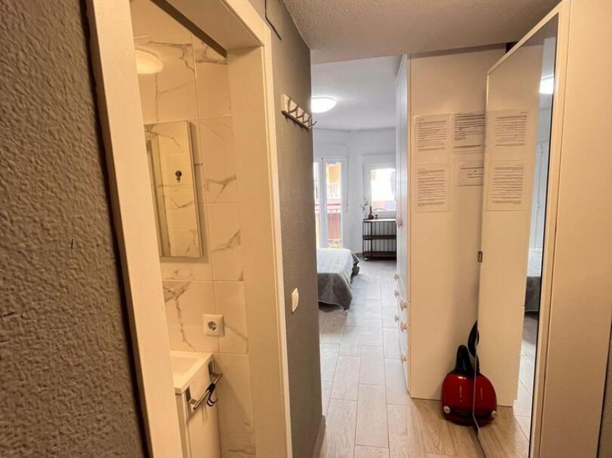 Испания studio torrevieja