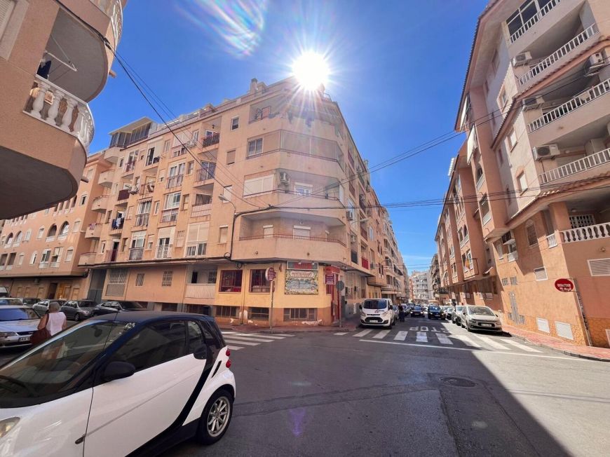 Испания studio torrevieja