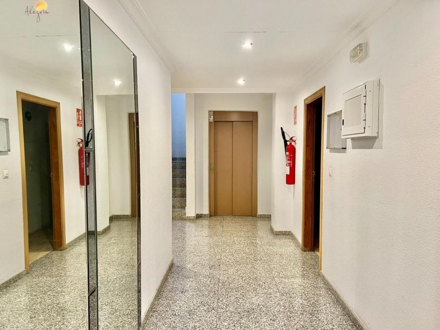 Španělsko Apartmány / byty Torrevieja