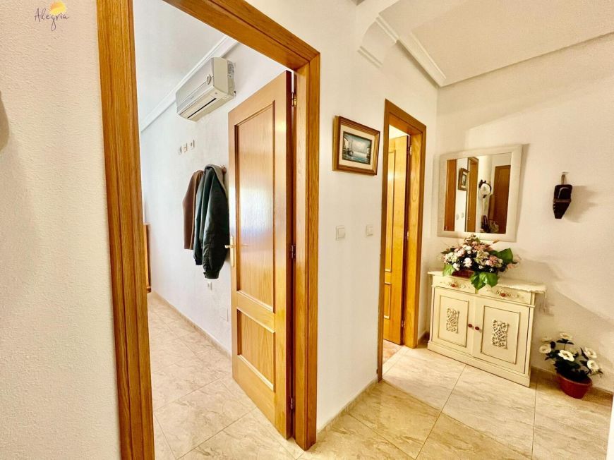 Španělsko Apartmány / byty Torrevieja