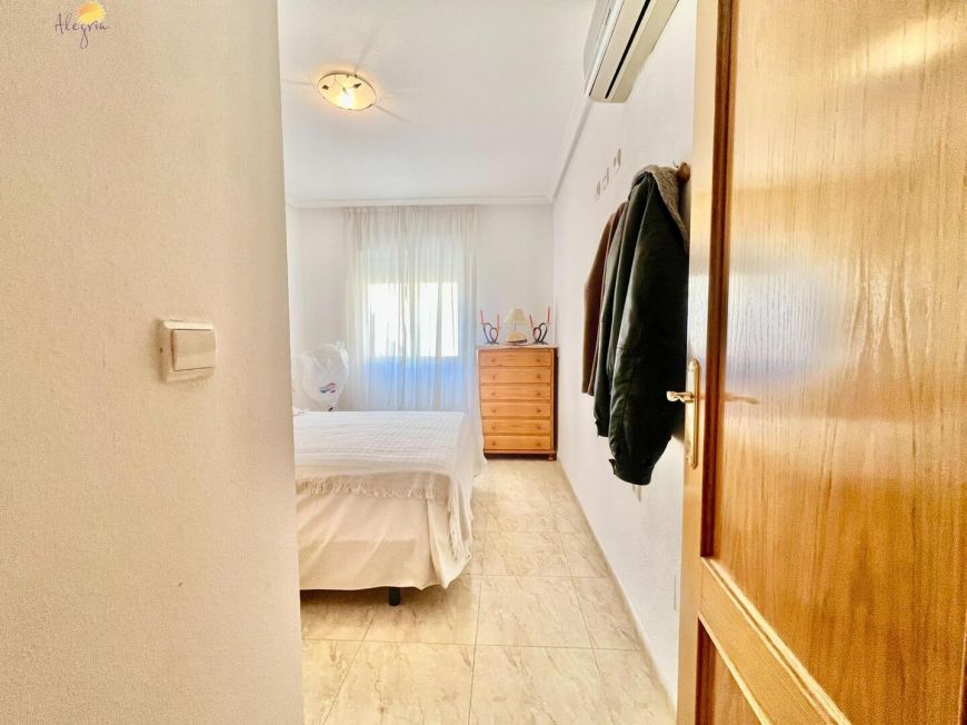 Španělsko Apartmány / byty Torrevieja
