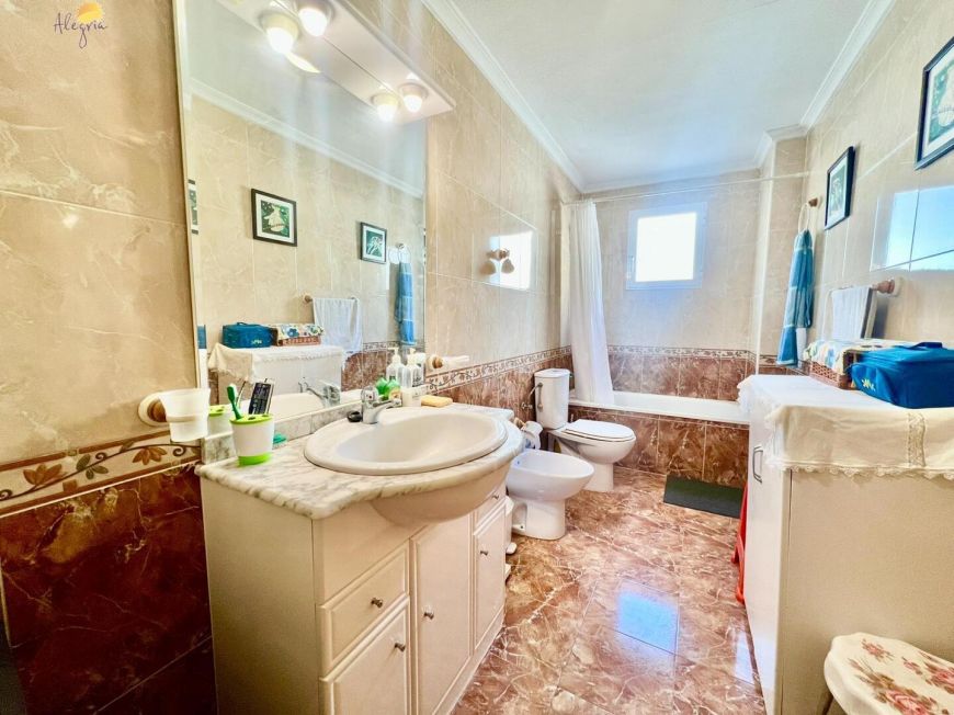 Španělsko Apartmány / byty Torrevieja