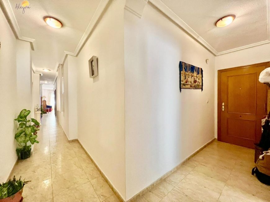 Španělsko Apartmány / byty Torrevieja