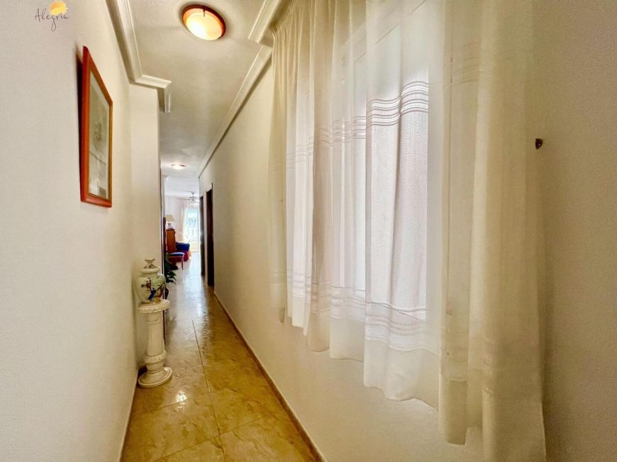 Španělsko Apartmány / byty Torrevieja