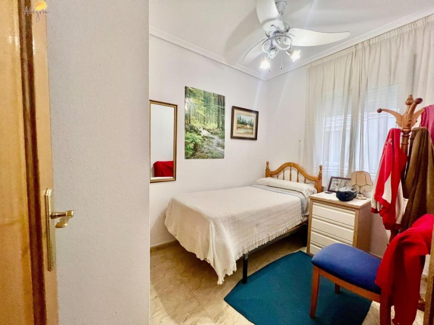 Španělsko Apartmány / byty Torrevieja
