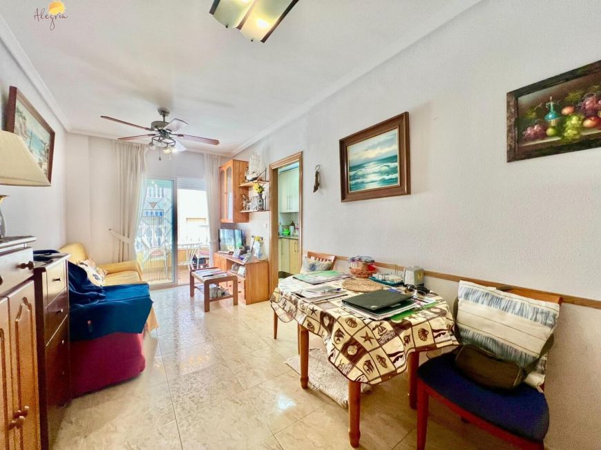 Španělsko Apartmány / byty Torrevieja