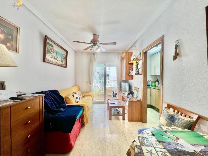 Španělsko Apartmány / byty Torrevieja