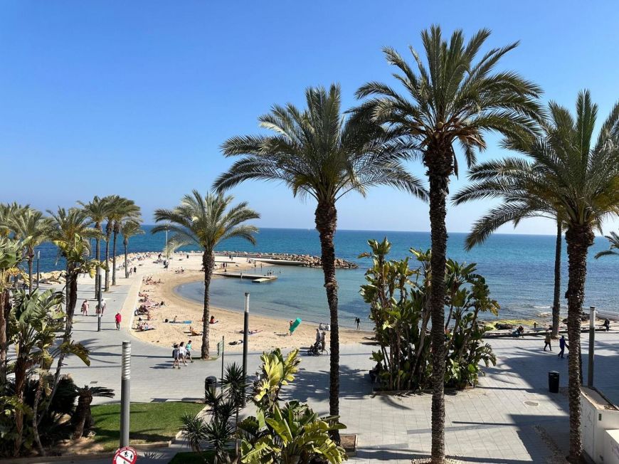 Испания apartments torrevieja 