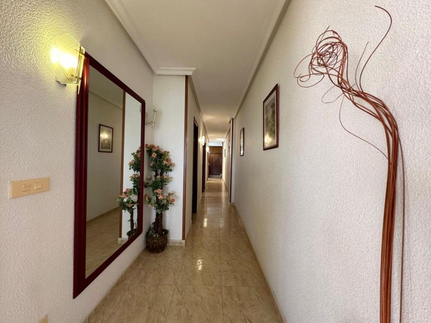 Испания apartments torrevieja 