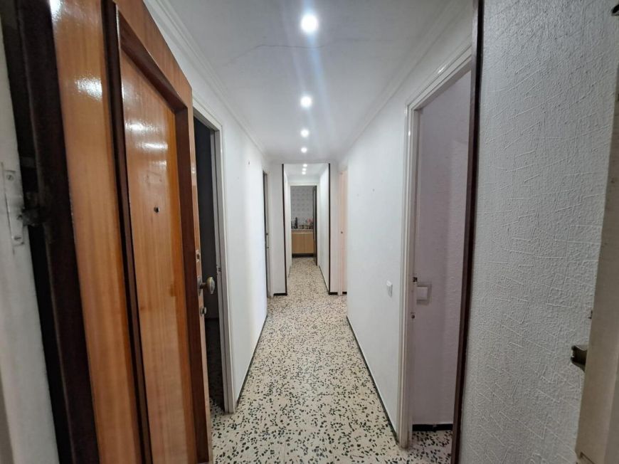 Španělsko Apartmány / byty Torrevieja