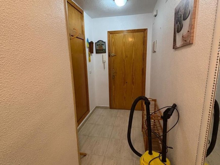 Španělsko Apartmány / byty Torrevieja