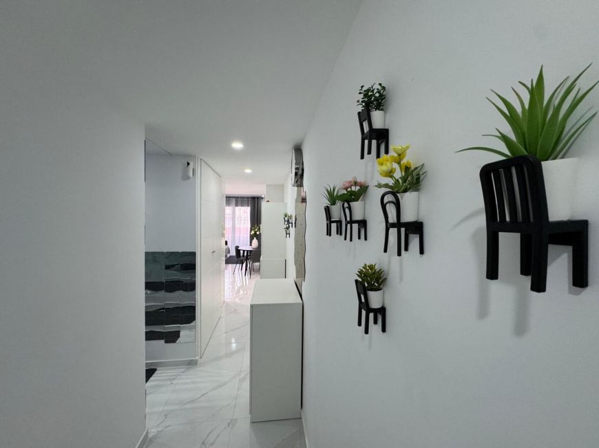 Španělsko Apartmány / byty Torrevieja