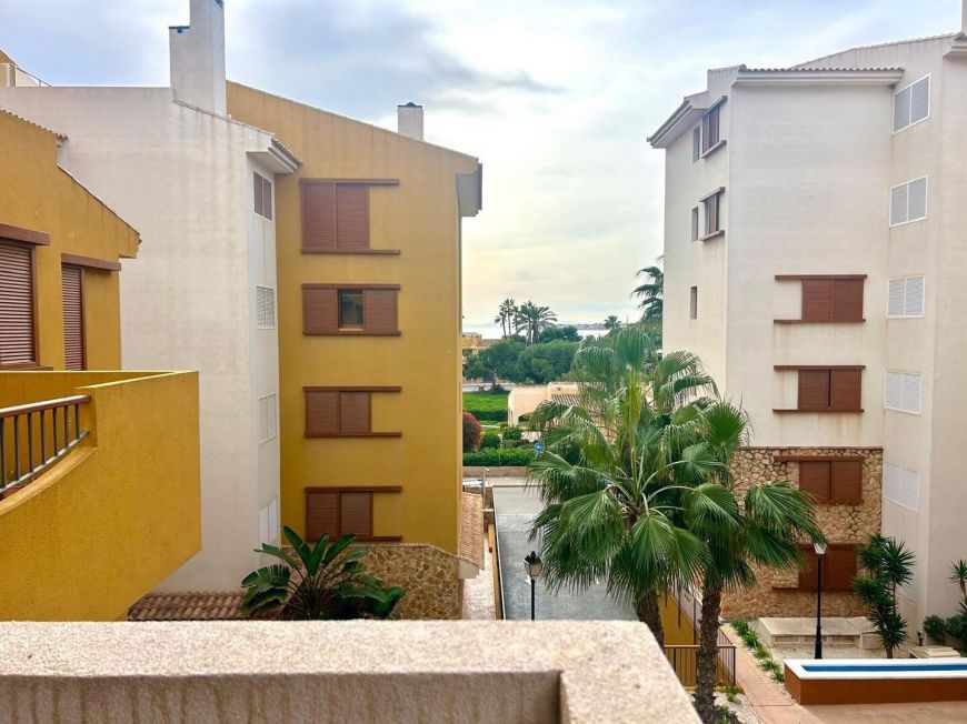 Španělsko Apartmán / byt Torrevieja ALICANTE