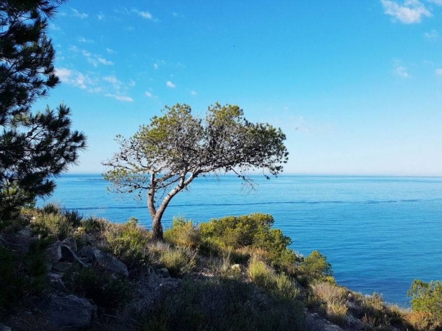 Испания apartments villajoyosa