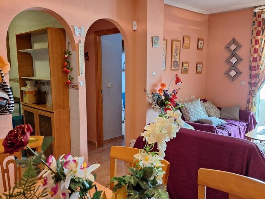 Španělsko Apartmány / byty Torrevieja