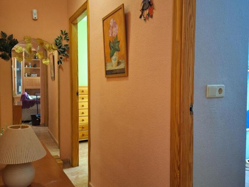 Španělsko Apartmány / byty Torrevieja