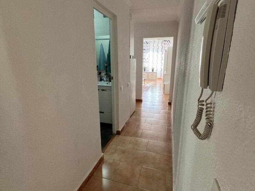 Španělsko Apartmány / byty Torrevieja