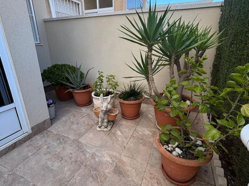 Испания houses torrevieja