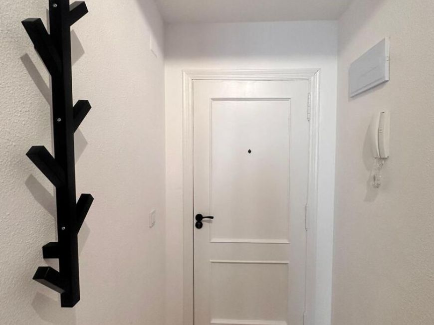 Испания apartments torrevieja 