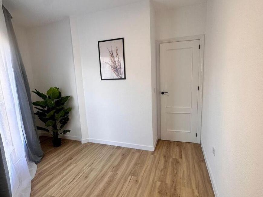 Španělsko Apartmány / byty Torrevieja