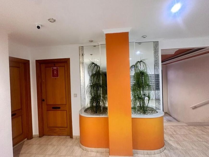 Španělsko Apartmány / byty Torrevieja