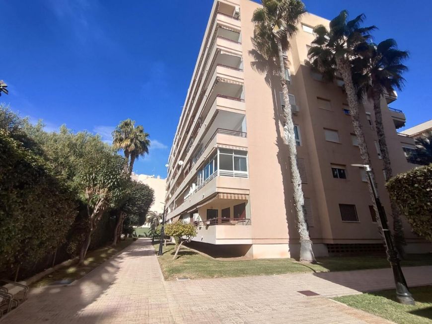 Испания apartments torrevieja