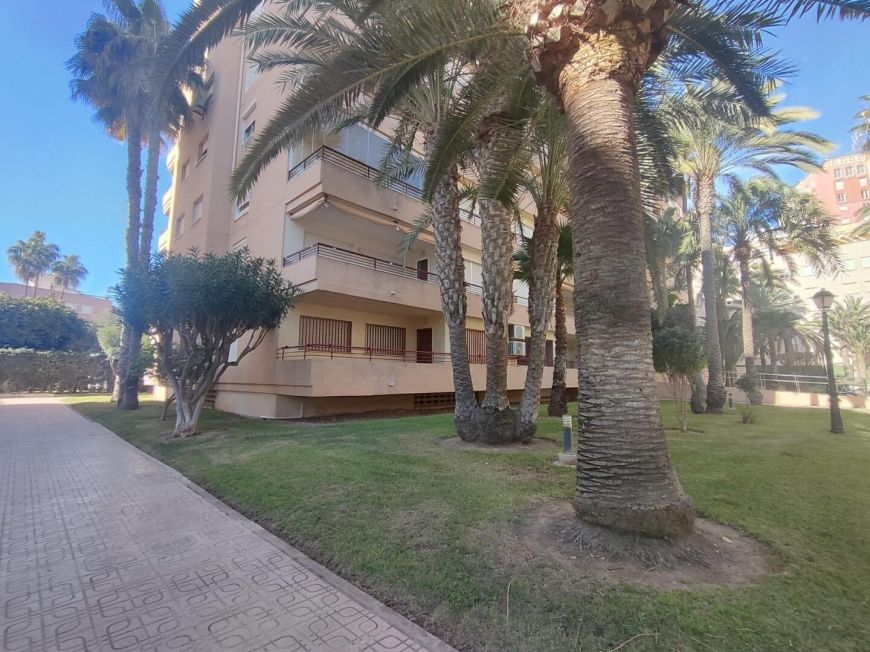 Испания apartments torrevieja
