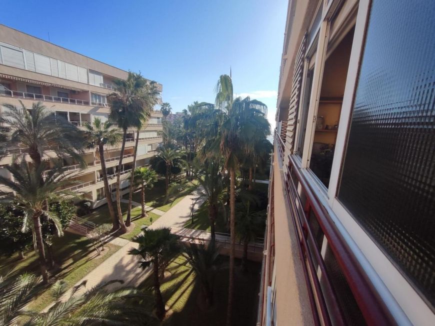 Испания apartments torrevieja