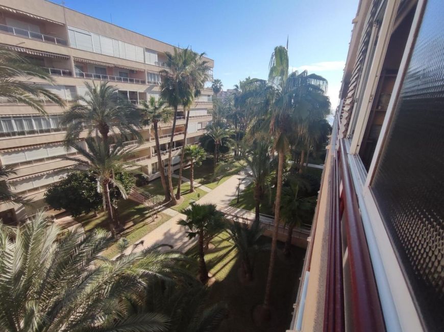 Испания apartments torrevieja