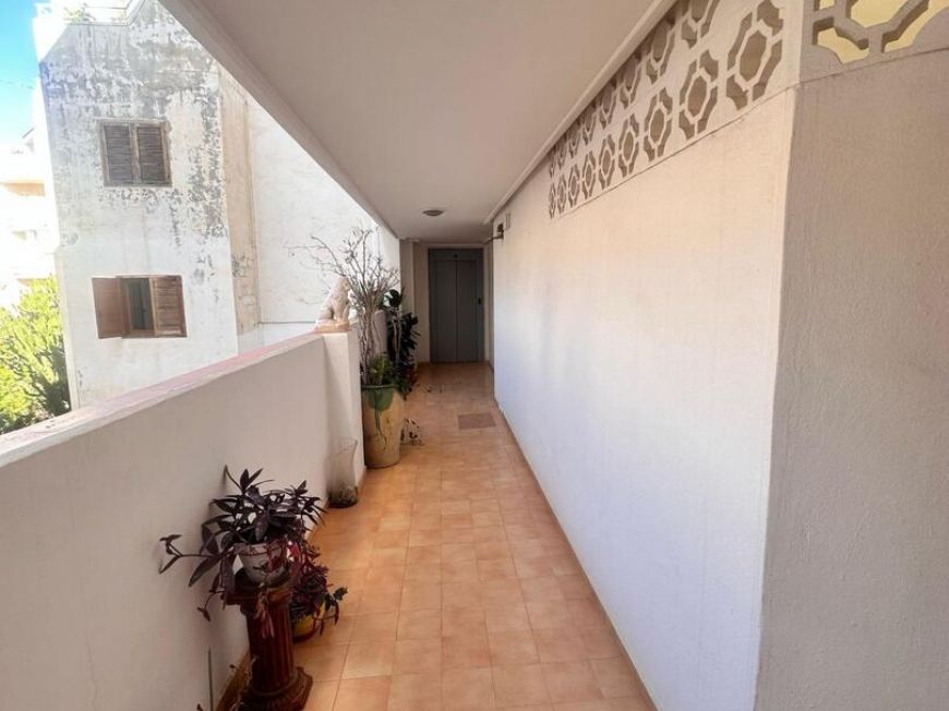 Španělsko Apartmány / byty Torrevieja