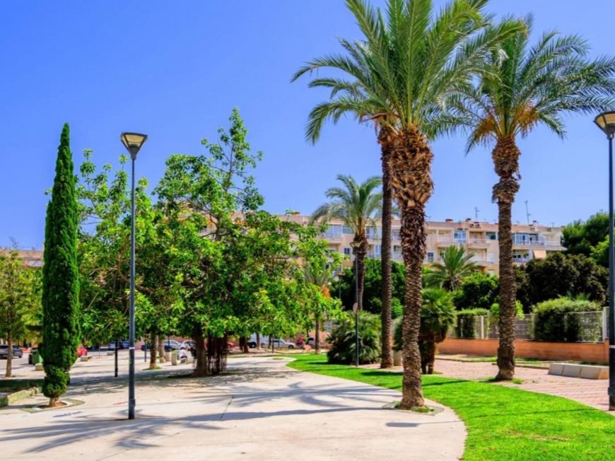 Španělsko Apartmány / byty Torrevieja