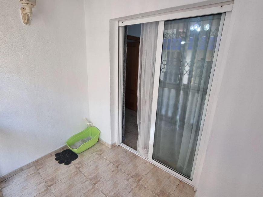 Španělsko Apartmány / byty Torrevieja