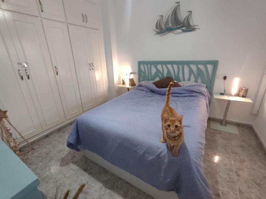 Španělsko Apartmány / byty Torrevieja