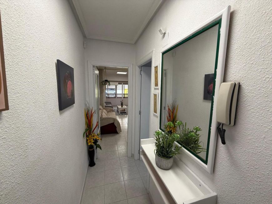 Španělsko Apartmány / byty Torrevieja