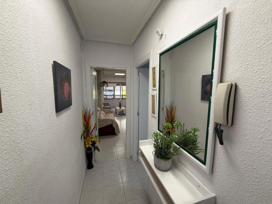 Španělsko Apartmány / byty Torrevieja