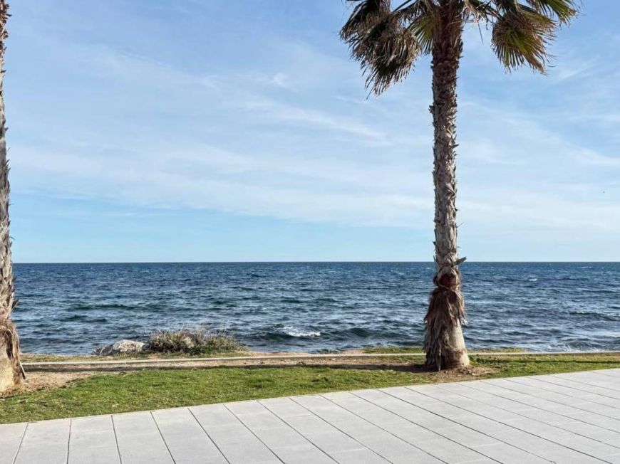 Španělsko Apartmány / byty Torrevieja