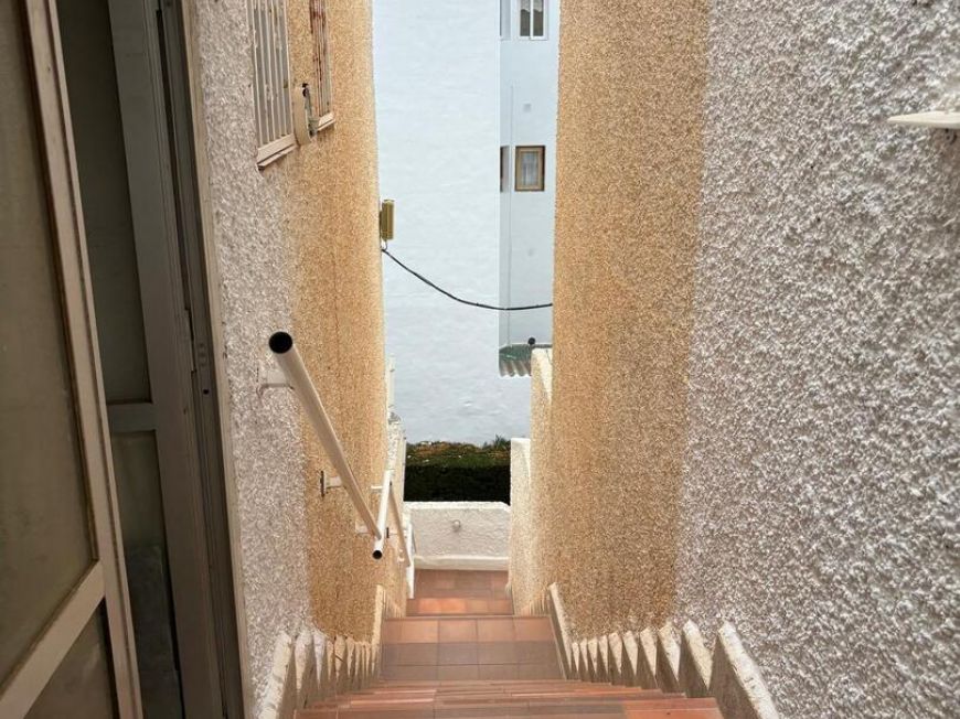 Španělsko Apartmány / byty Torrevieja
