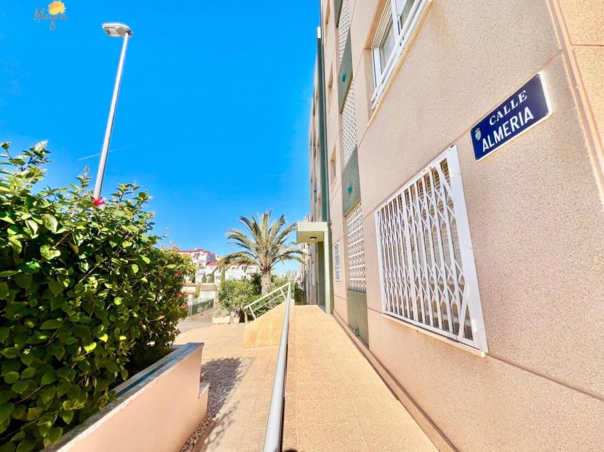 Španělsko Apartmány / byty Torrevieja