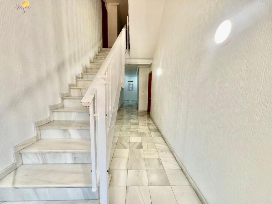 Španělsko Apartmány / byty Torrevieja