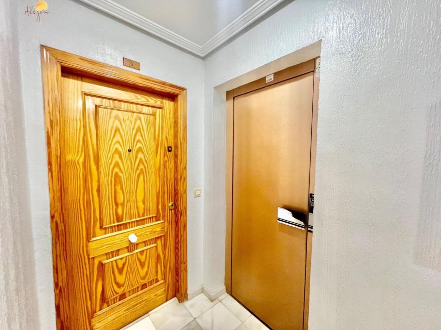 Španělsko Apartmány / byty Torrevieja