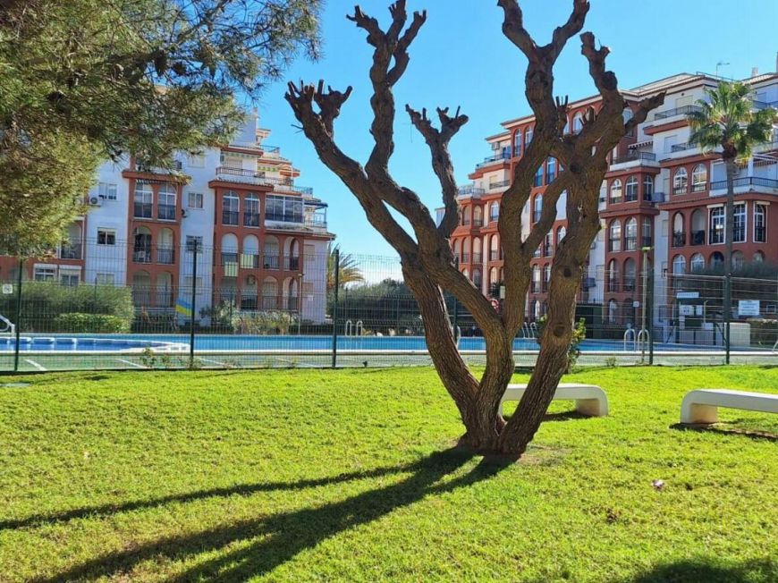 Španělsko Apartamento Torrevieja Alicante