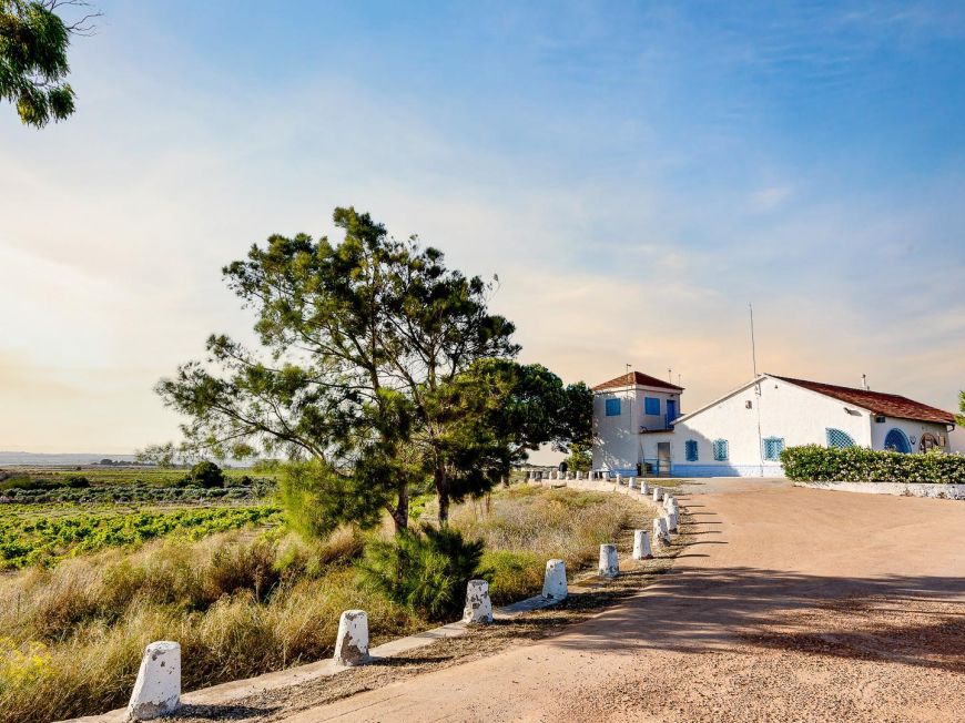 Španělsko Apartamento Torrevieja Alicante