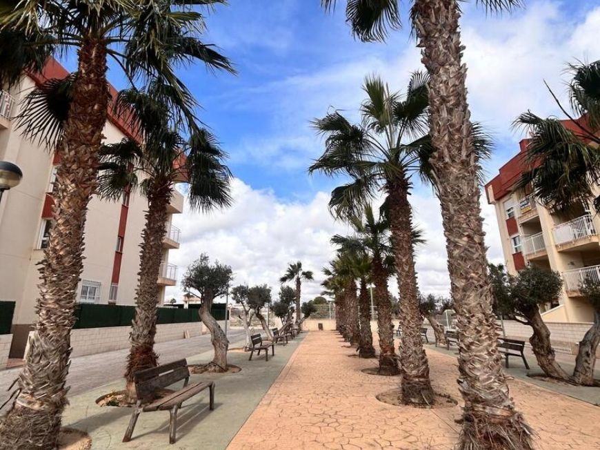 Испания new-buildings orihuela-costa