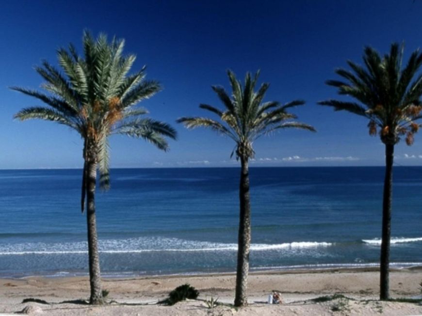 Španělsko Bungalov Pilar-de-la-horadada