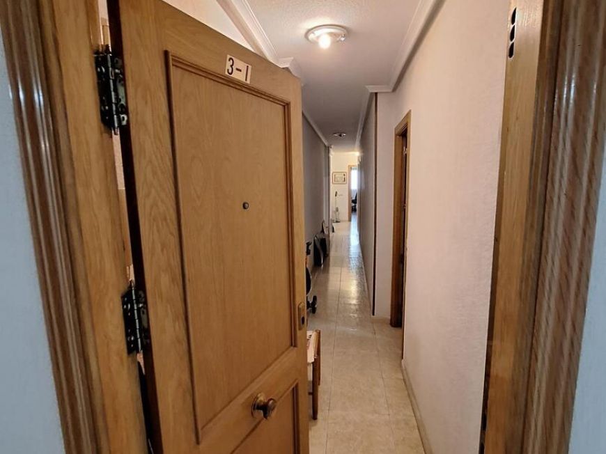Španělsko Apartmány / byty Torrevieja