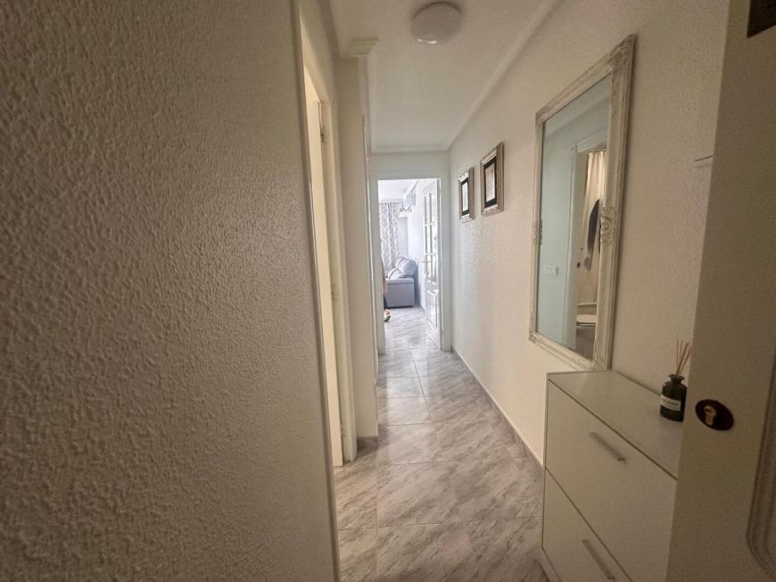 Španělsko Apartmány / byty Torrevieja
