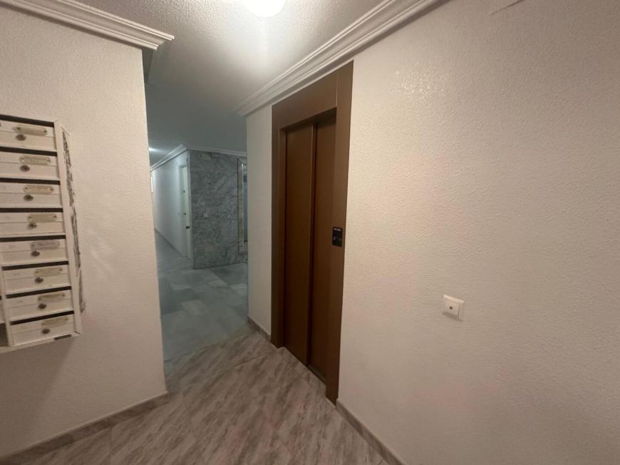 Španělsko Apartmány / byty Torrevieja