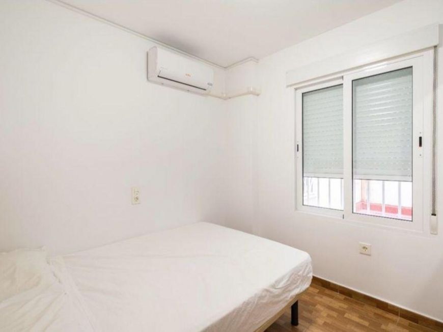 Španělsko Apartmány / byty Torrevieja